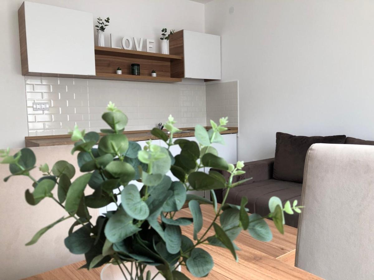 Apartmani Tesla Soko Banja Luaran gambar